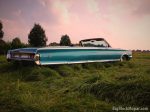 1965 Chrysler 300 convertible - In the tall grass
