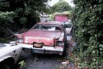1977 Dodge Charger - Rust Overload