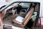 1977 Dodge Charger - Rust Overload