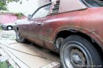 1977 Dodge Charger - Rust Overload