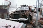 1977 Dodge Charger - Rust Overload