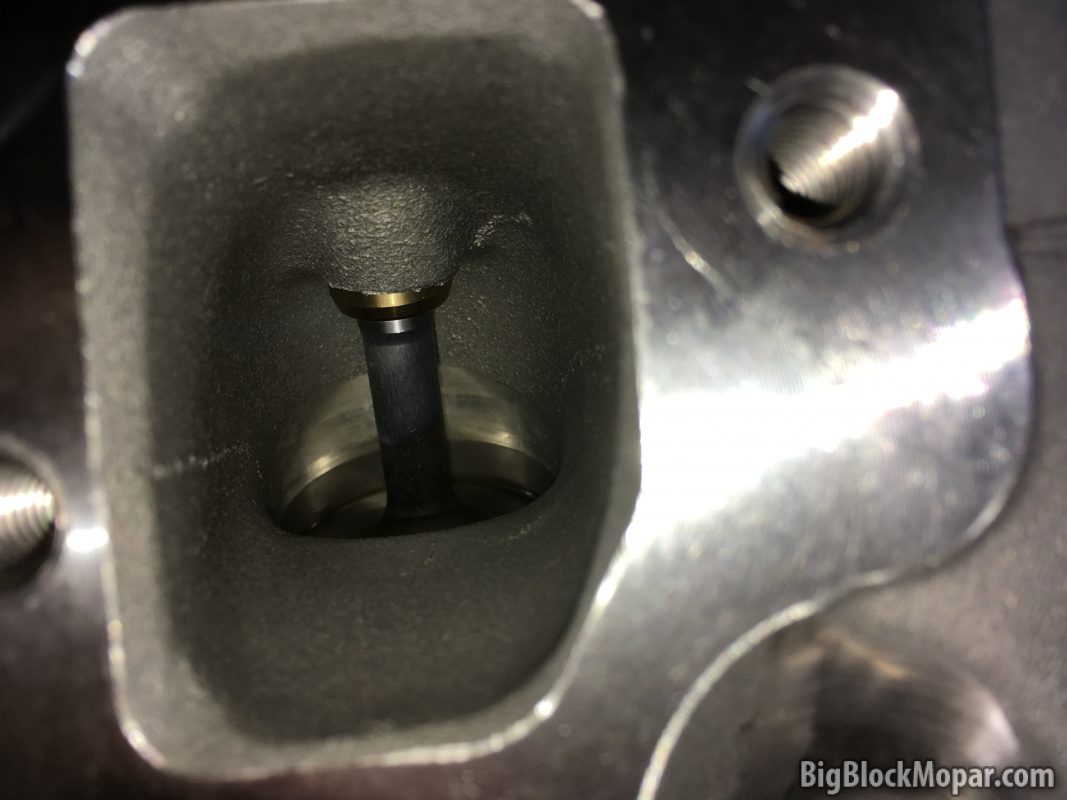 SpeedMaster headsIMG_8022