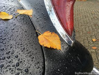 Autumn leaves on rear fender trunk of a black 1960 Chrysler NewYorker